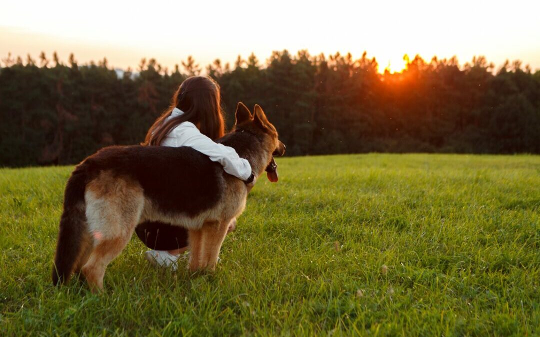 Compassionate Pet Euthanasia & End-of-Life Care in Salisbury, NC